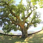 O Refuxio De La Jerezana Ostello