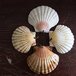 O Refuxio De La Jerezana Redondela