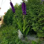 Ostello O Refuxio De La Jerezana Redondela