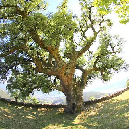 O Refuxio De La Jerezana Vandrerhjem
