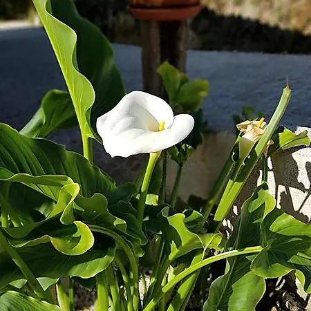 O Refuxio De La Jerezana Ostello