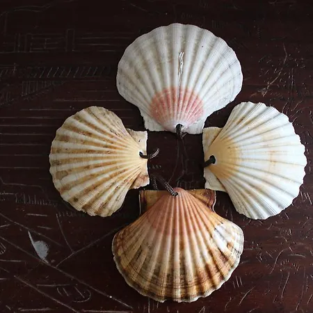 O Refuxio De La Jerezana Redondela