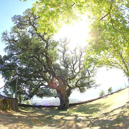 O Refuxio De La Jerezana * Redondela