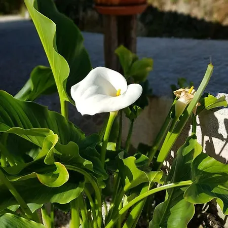 O Refuxio De La Jerezana Vandrerhjem *