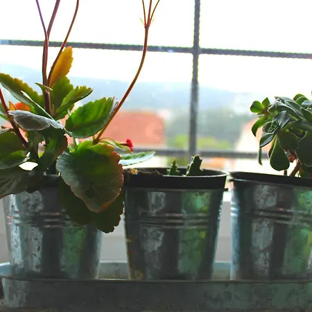 O Refuxio De La Jerezana Albergue Redondela