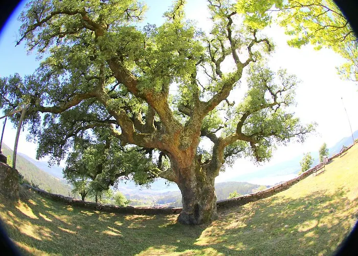 O Refuxio De La Jerezana Hostel