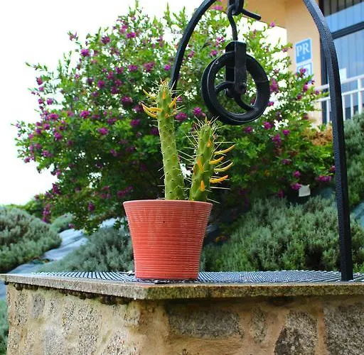 Hostel O Refuxio De La Jerezana Redondela