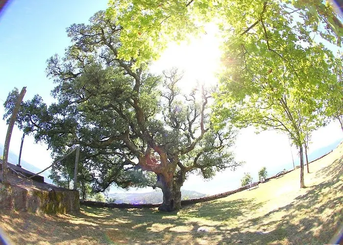 O Refuxio De La Jerezana * Redondela
